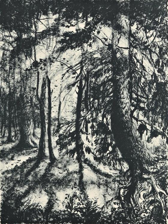 Hluboký les III.
