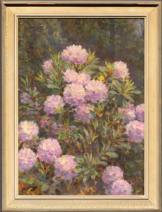 Rhododendron na keři