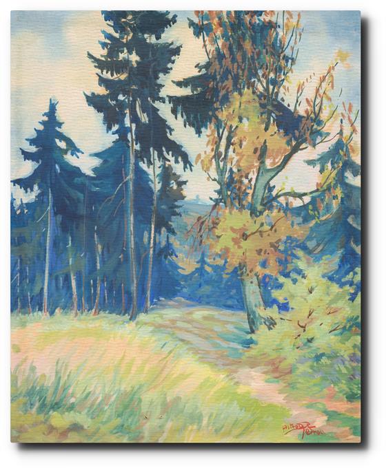 Alfred Petrov - Lesní výhledy