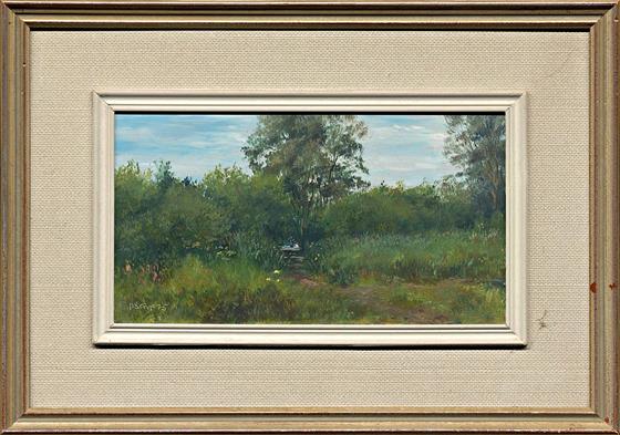 P. Stoop: V rákosí