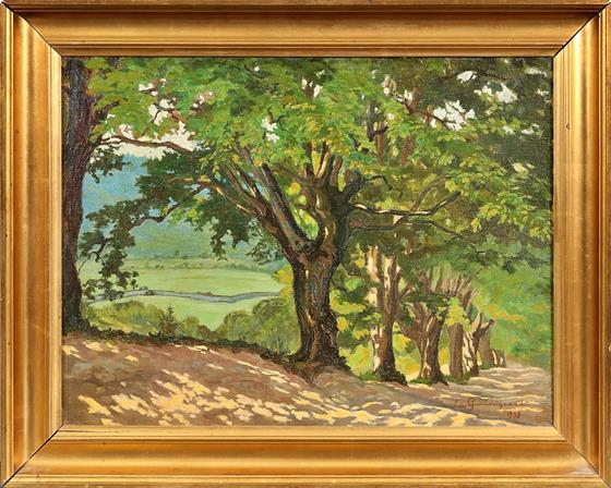 Na procházce pod stromy