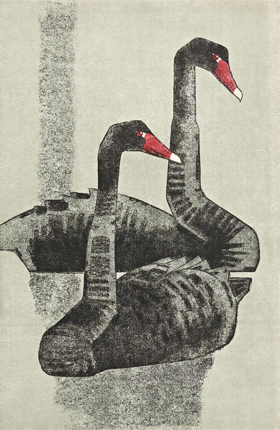 Duo černých labutí