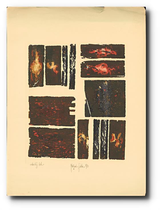 Vladimír Fiala - Skvrny