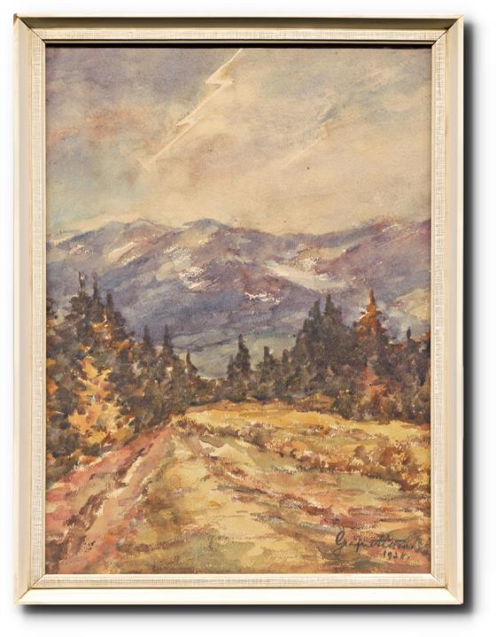 Pohled do údolí hor