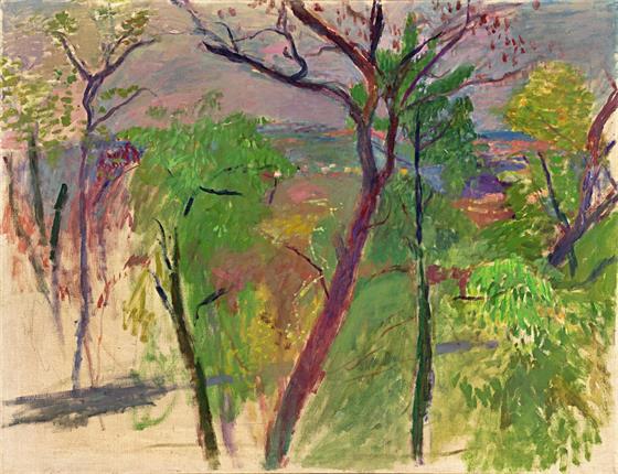 Ze Stromovky - XL formát