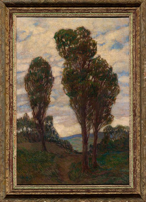 Stromy - ranná práce