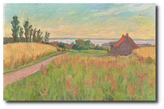 Okolí vesnice Öningeby I.