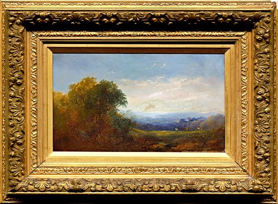 Pasáček krav v krajině