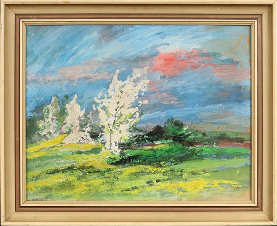 Rozkvetlé stromy v krajině