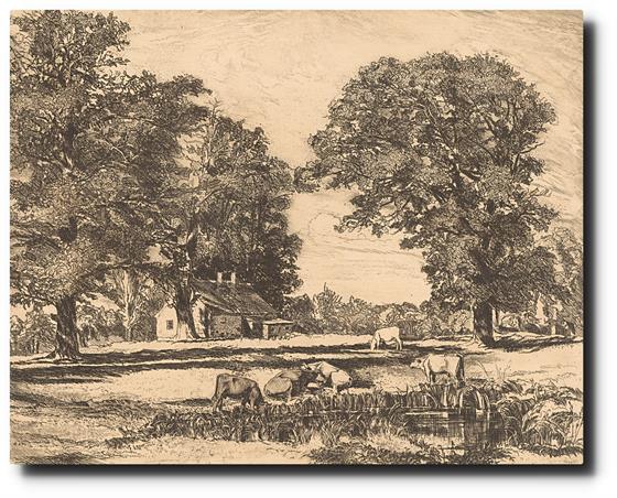 Pasení dojného skotu