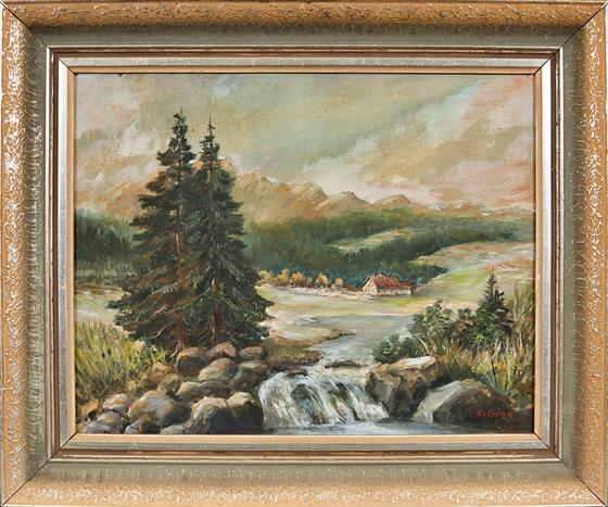 Horské údolí s bystřinou