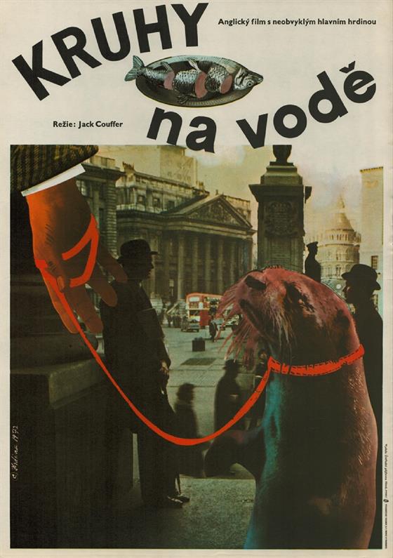 Kruhy na vodě
