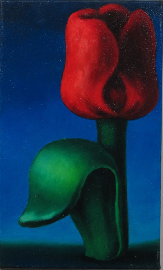 Štěpánová Dita * 1973